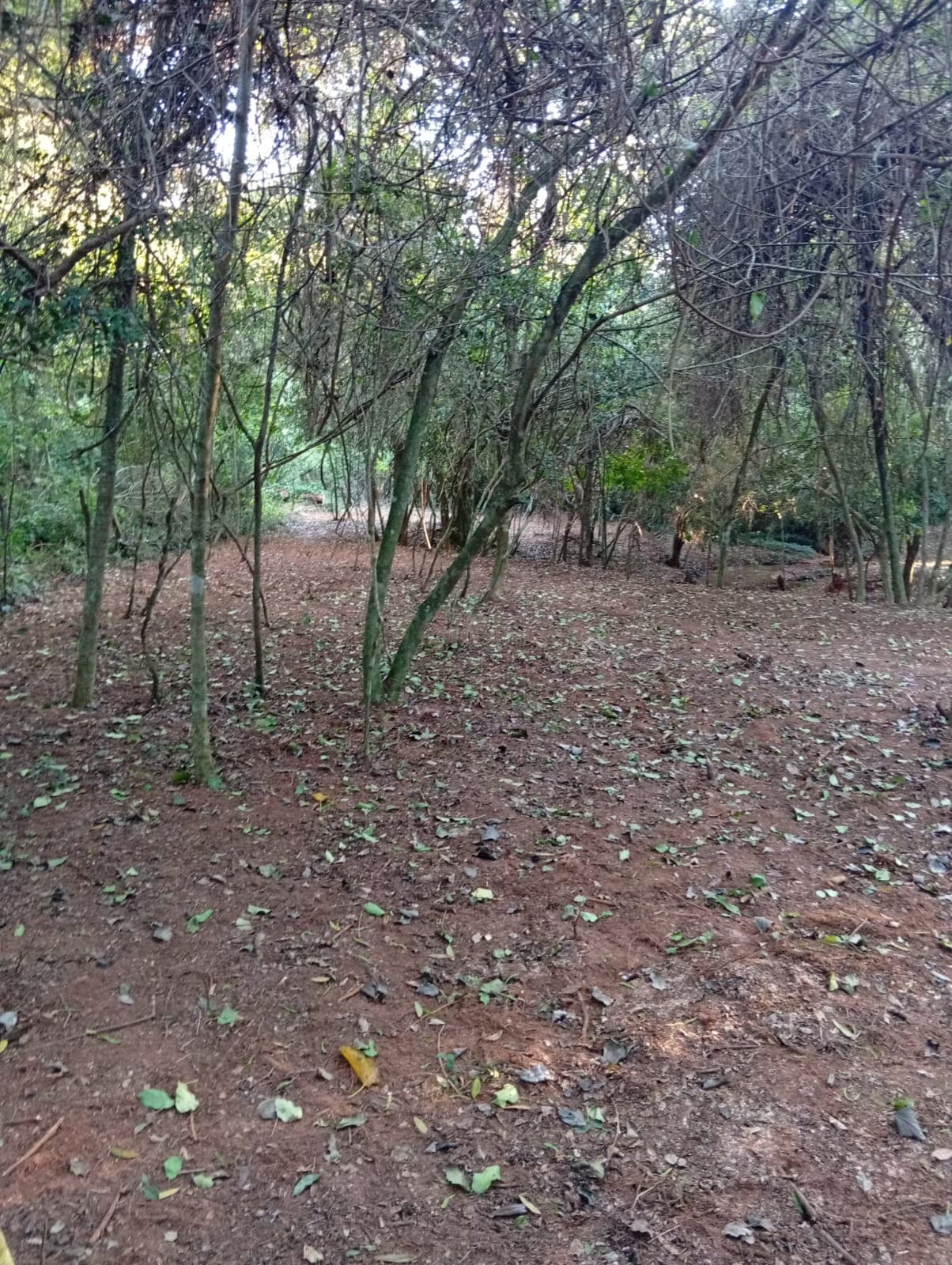 OPORTUNIDAD ÚNICA EN PIRAYU - Vendo Terreno Amplio con Arroyo Propio
