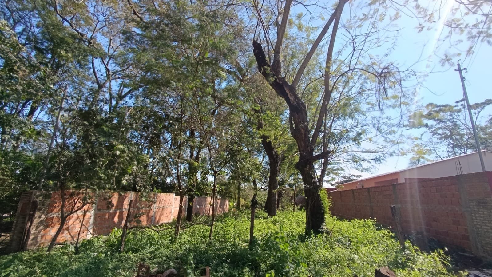 Vendo Terreno en Luque Cañada Garay