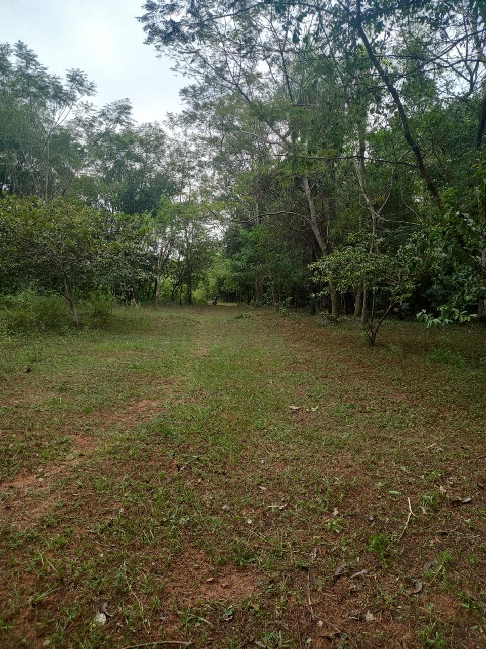 En Venta Terreno de 5 Hectáreas en Aguaity - Eusebio Ayala - Cordillera V246