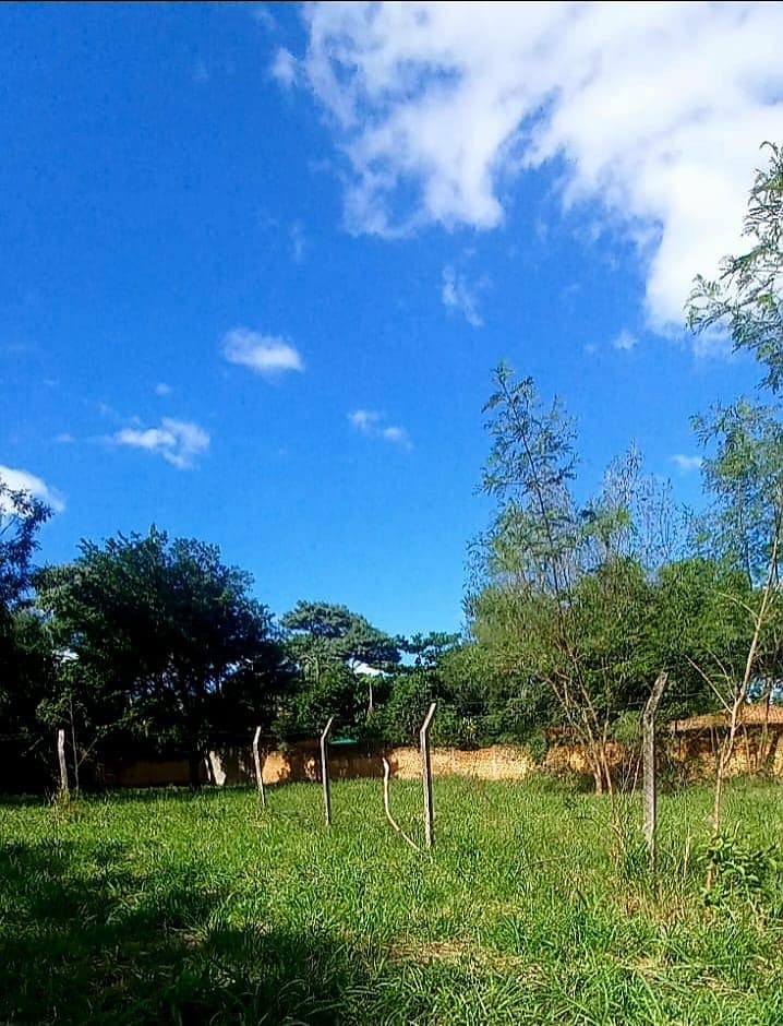 Vendo 4 Terrenos Juntos De 1848 M2 En Mariano Roque Alonso