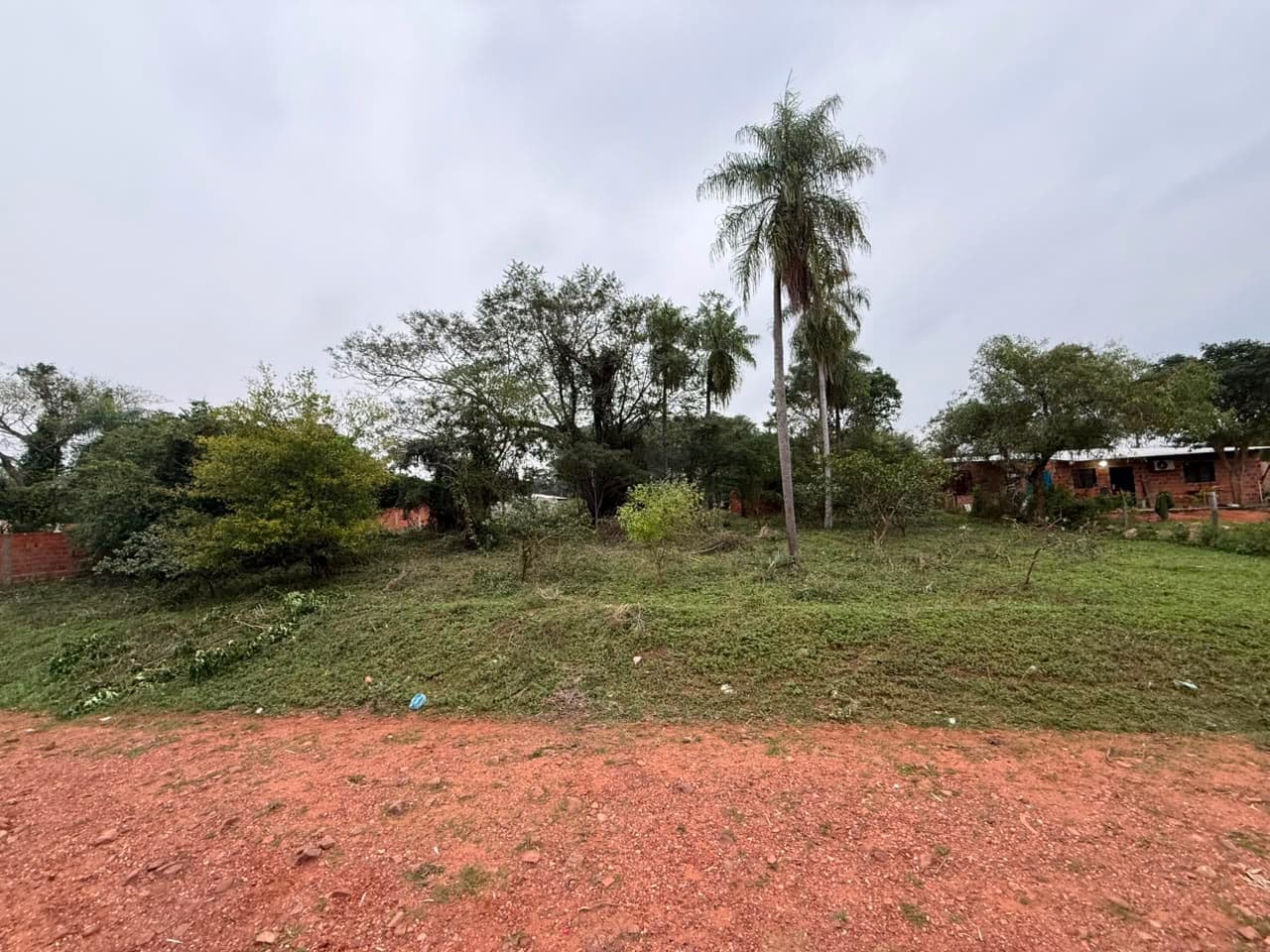 Venta de 2 Terrenos con Vegetación - Gs. 220.000.000