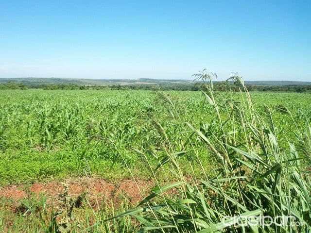 Caaguazu 1.700 has tierra agricola mecanizada,y ganadera