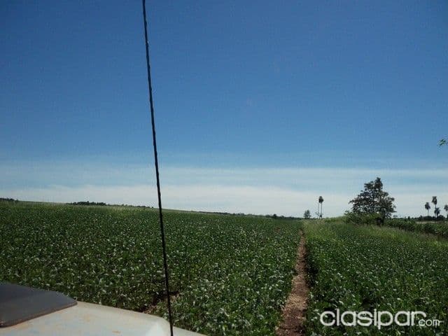 Alto parana terreno de 70 has entre santa rita y cruse km 30