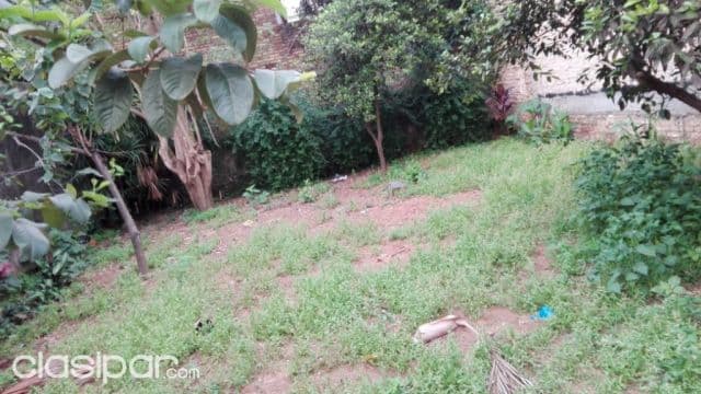 Remató terreno en caacupe