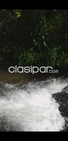 Valenzuela – piribebuy: 46 hectáreas, bosques, arroyos, cascadas, una belleza