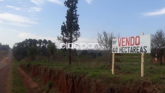 Minga guazú - alto paraná (s/ ruta cedrales): Propiedad en oferta, ubicación privilegiada