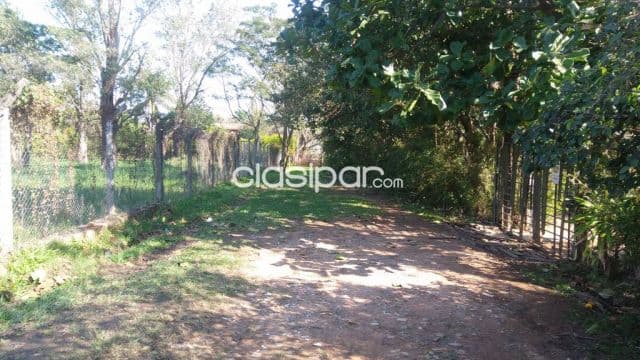 Villa adela - Luque - terreno de 800 m2