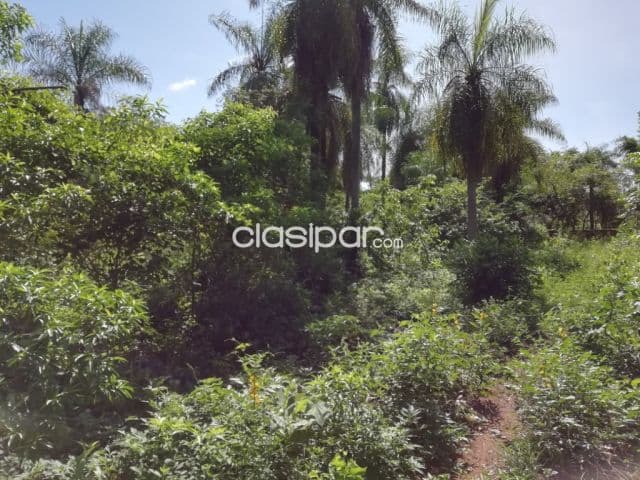 Terreno en altos cod 4334 precio: 65.000.000 gs