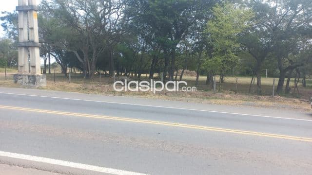 Villeta – alberdi: 11,5 has, s/ asfalto, p/ loteamientos y otros, 90.000 usd/ha