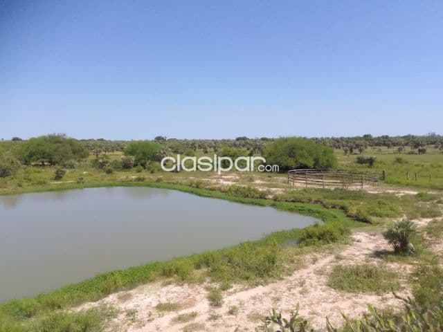 Estancia de 4350 has en villa hayes - lcs4781311