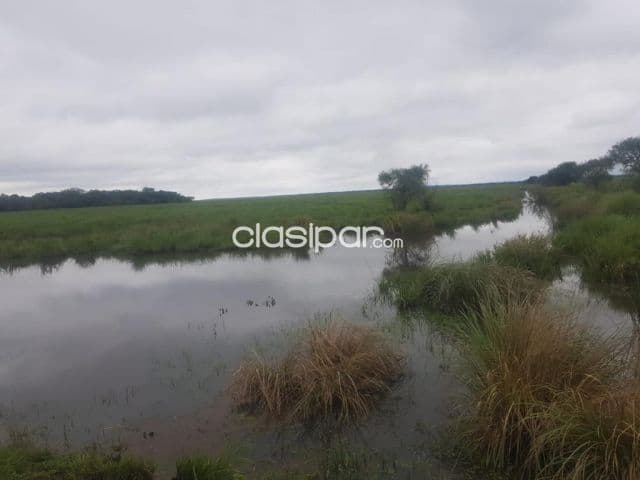 Caazapa – paraguarí: 2.937 has (divisibles), campo natural, titulo a transferir