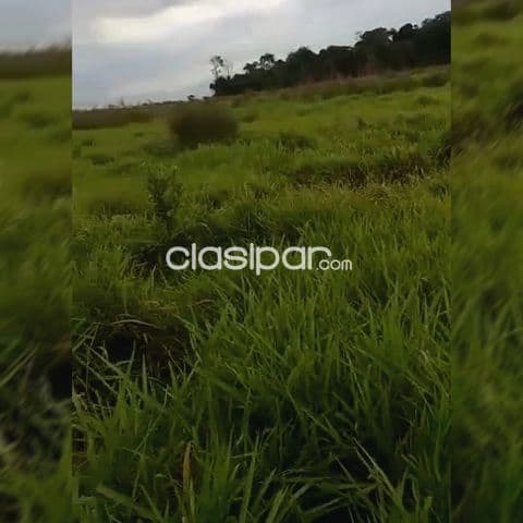 1.000 hectáreas. s/Asfalto Formada. Caaguazú. Vendo Recibo Financio. Arroyo cruza en medio