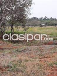 Alto parana – en venta: Disponemos maravillosas opciones de 2.000 a 20.000 has p/ inversor