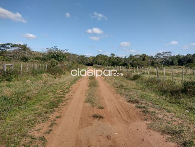 Terreno de 34 has zona Luque samber