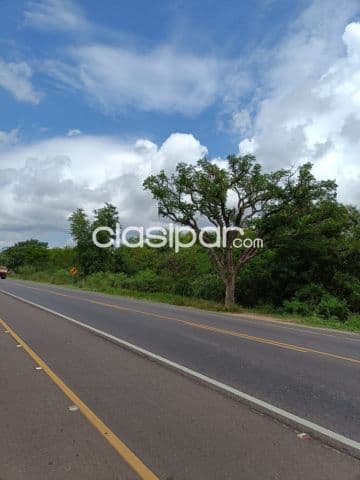 7 Hectáreas Sobre la Ruta Luque Sanber, Tarumandy - LLA5962531