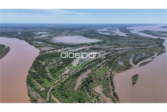 Estancia/Campo - Venta - Paraguay Ñeembucú Paso de Patria 500 Hectáreas sobre el Río Paran