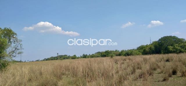 Campo Agrícola/Ganadero en Villalbin - 118 Ha