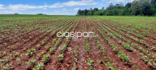 Campo Agrícola Mecanizado en Capitan Meza - 63 Ha