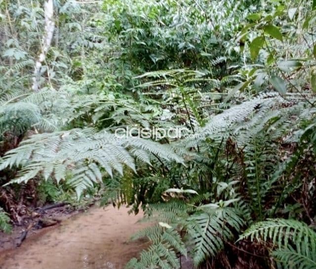 Terreno Rural en Caballero - 15 Ha