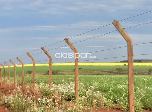 Terreno Agrícola Mecanizado en Hernandarias - 20 Ha