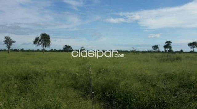 Propiedad de 31.677 Hectáreas en Zona Bahía Negra - CLCS6434659