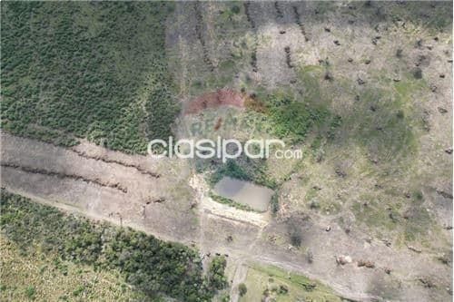 Estancia en presidente hayes