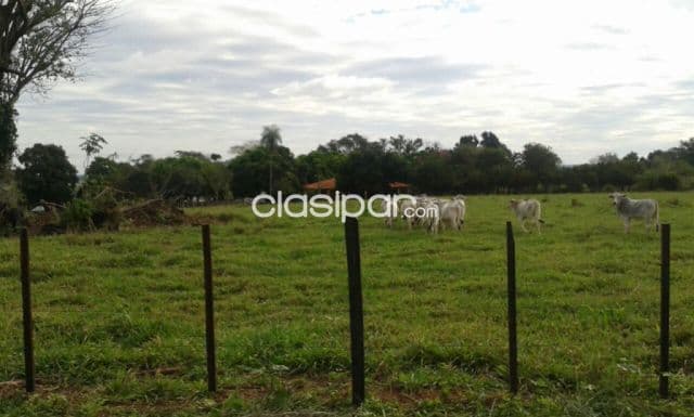 Campo Agrícola/Ganadero en Coronel Oviedo - 628 Ha