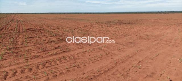 Campo Agrícola/Ganadero Mecanizado en Horqueta - 1330 Ha