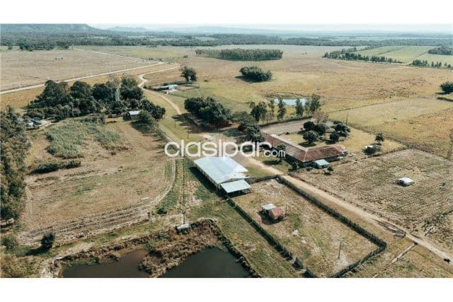 Campo en ybytymí