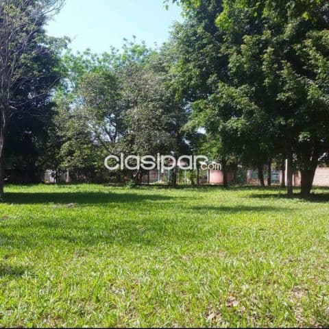 Terreno z/ ruta San Lorenzo-Luque, ideal depósitos, fábricas, distribuidores, import