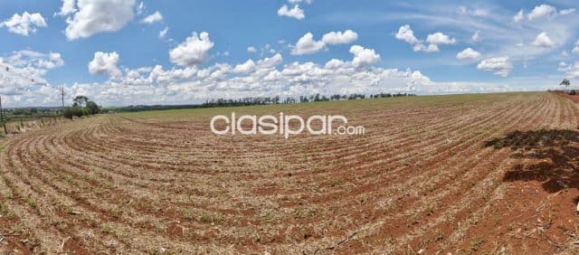 Campo Agrícola Mecanizado en Santa Fe del Paraná - 100 Ha