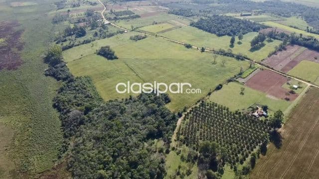 Campo Agricola/Ganadero Mecanizado en San Pedro del Paraná - 232 Ha