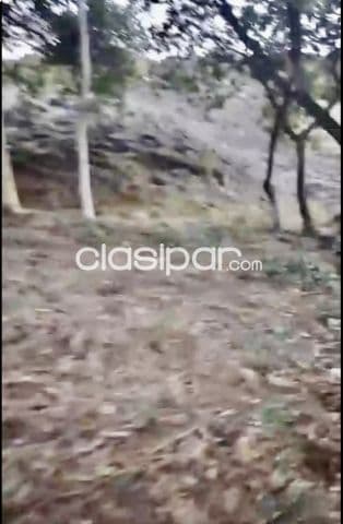 Amplio terreno con casa en tobati - bº san miguel