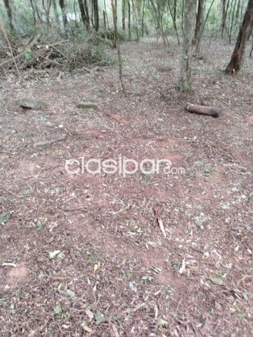 21 ha. De campo en San Bernardino - zona ciervo cua