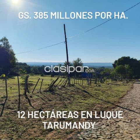 Luque, sanber: 12 has, en tarumandy p/ loteamientos, prox. Ruta, 385.000.000 gs/ha