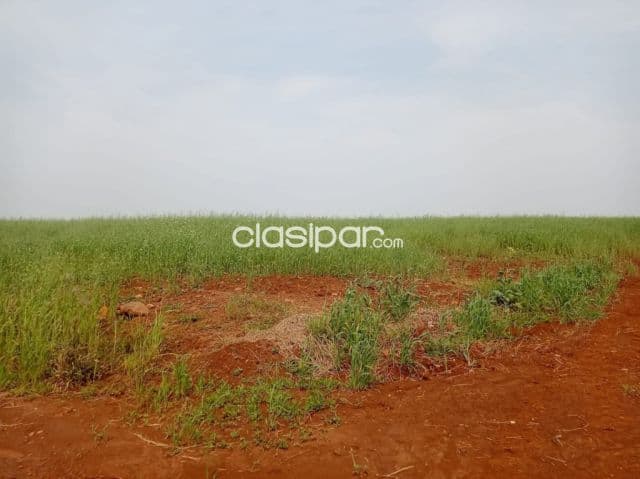 Campo Agrícola Mecanizado en Hohenau 4 sobre Asfalto - 105 Ha