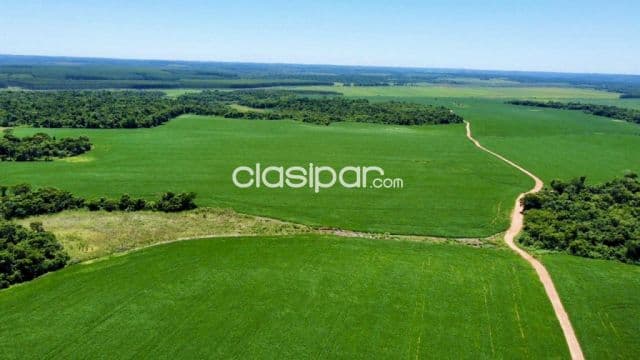Campo Agrícola Mecanizado en San Pedro del Paraná - 680 Ha
