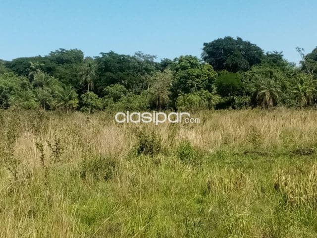 Campo en Emboscada - 27 Ha