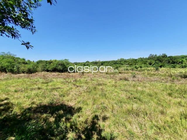 Terreno Rural en Altos sobre Ruta Pavimentada - 2 Ha
