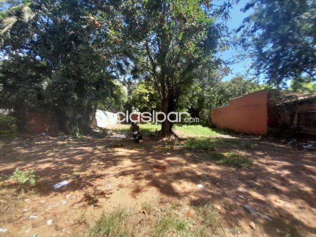 O alquilo terreno en Luque centro. Cod 1701
