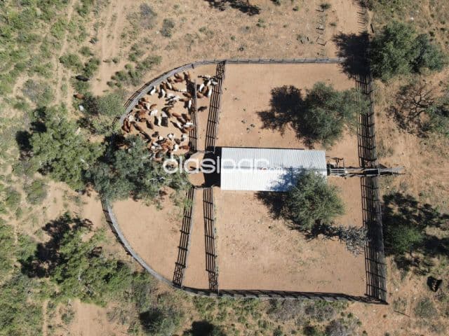 En Venta Campo ganadero - desarrollado, Chaco, Boquerón, distrito de Mariscal, (ID1931)