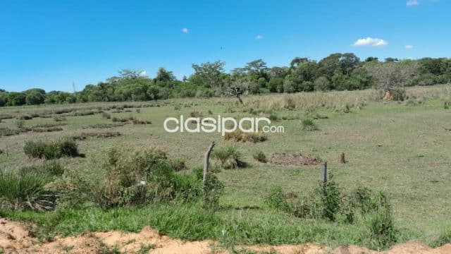 Se vende Terreno de 22,5 hectáreas en Coratei. Distrito de Ayolas