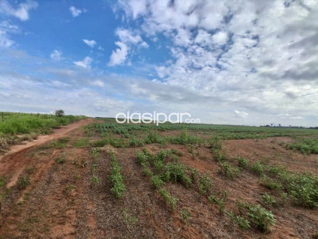 Campo Agrícola Mecanizado en San Cristobal - 100 Ha