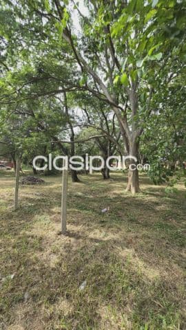 Terrenos, 2.850 m2 Sobre la Avda. Perón - LLA8171936