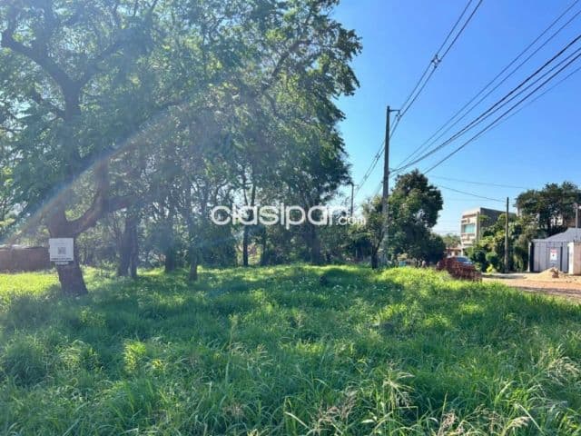 Terreno en Villa Elisa
