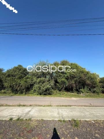 Terrenos en josé falcón excelente ubicación y gran potencial