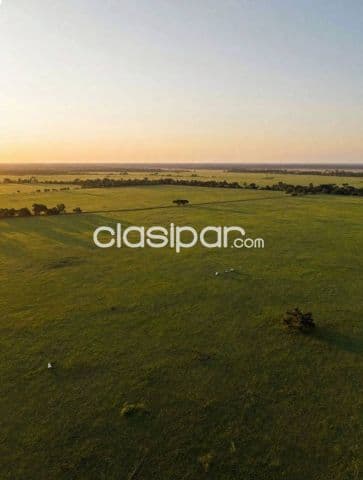 87 hectáreas | Nueva Asunción – Chaco'i
