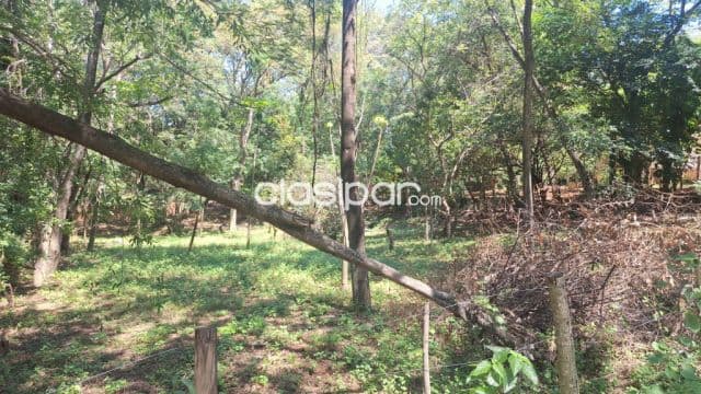 🌿✨ ¡Vendo hermoso terreno en San Bernardino, zona La Suiza! ✨🌿