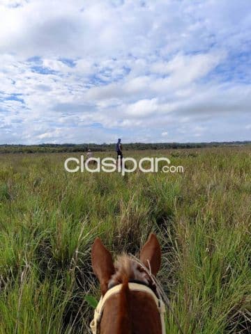 Campo 13has en Acahay Paraguari - Sobre Ruta 18, con tajamares y vista al cerro