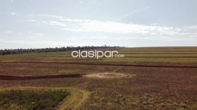 Campo en Curuguaty | 1.001 Ha Productivas | Desde Gs. 50 Millones/Ha